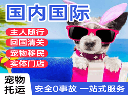连云港花果山空运公司国际宠物托运 【国